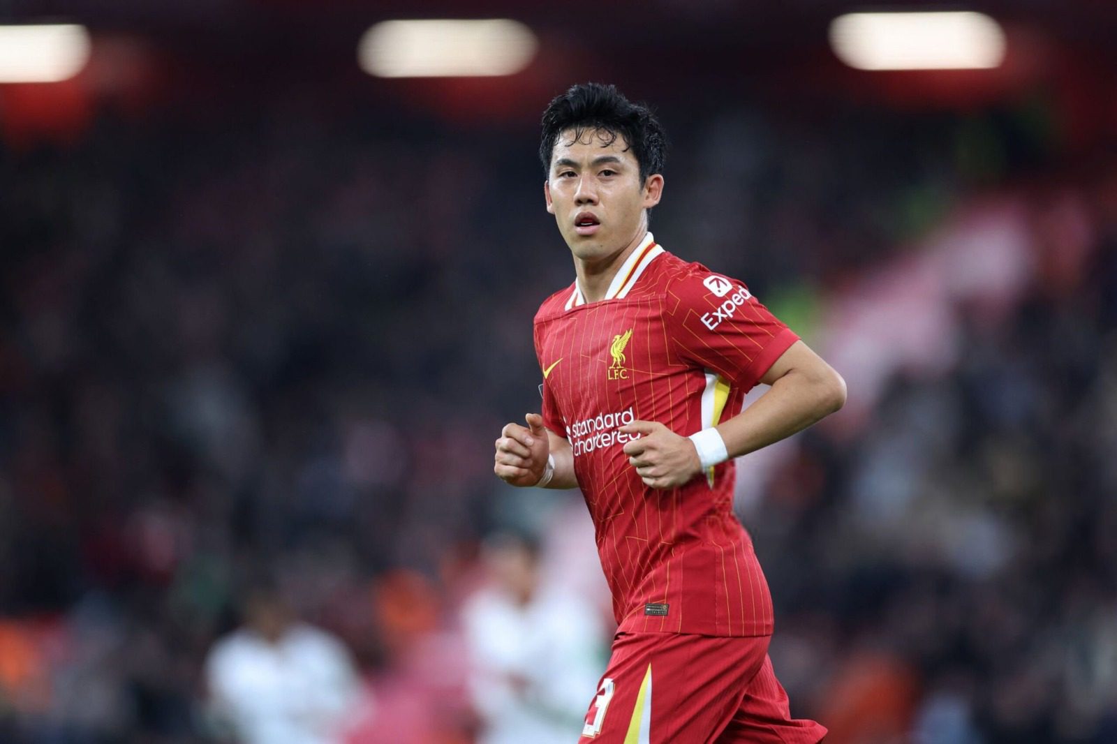 Japonês é sinónimo inglês para... campeão
