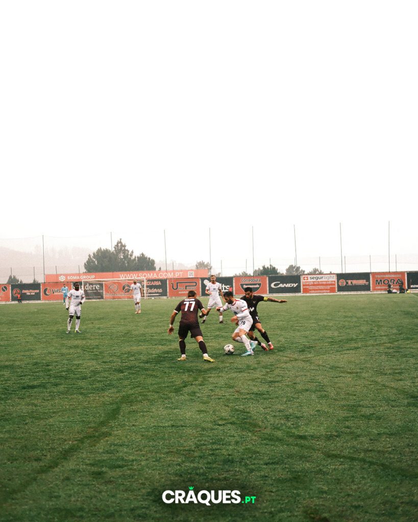 Galeria 80