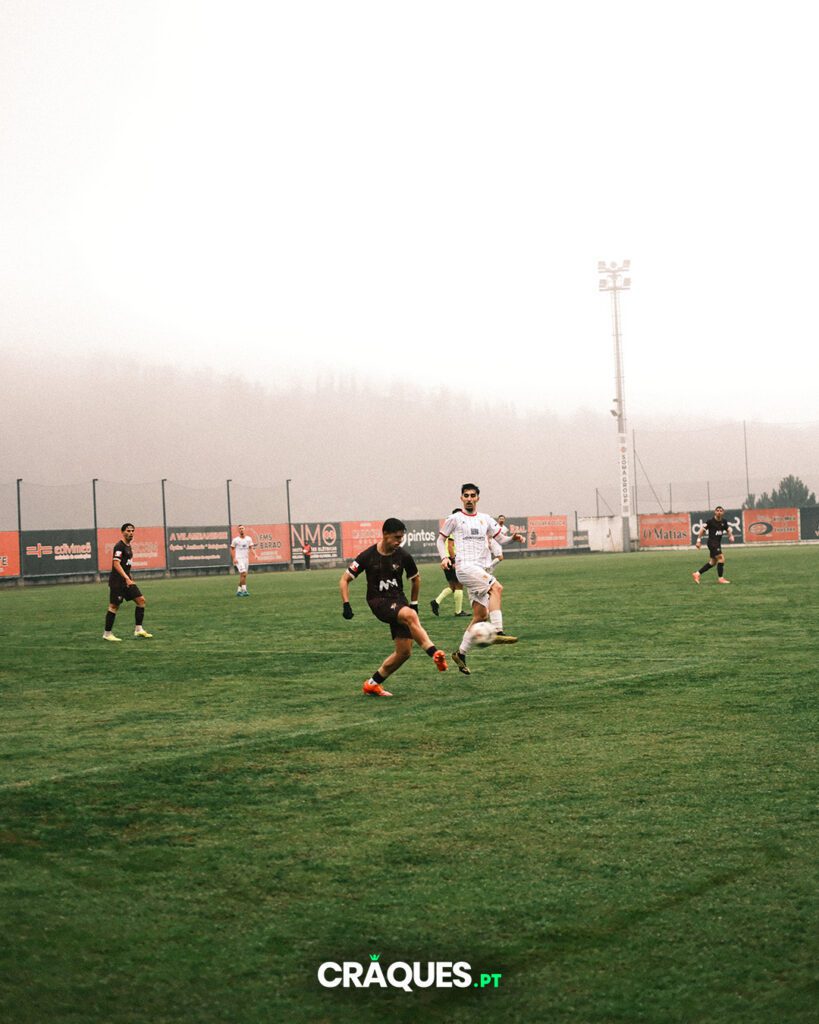 Galeria 81