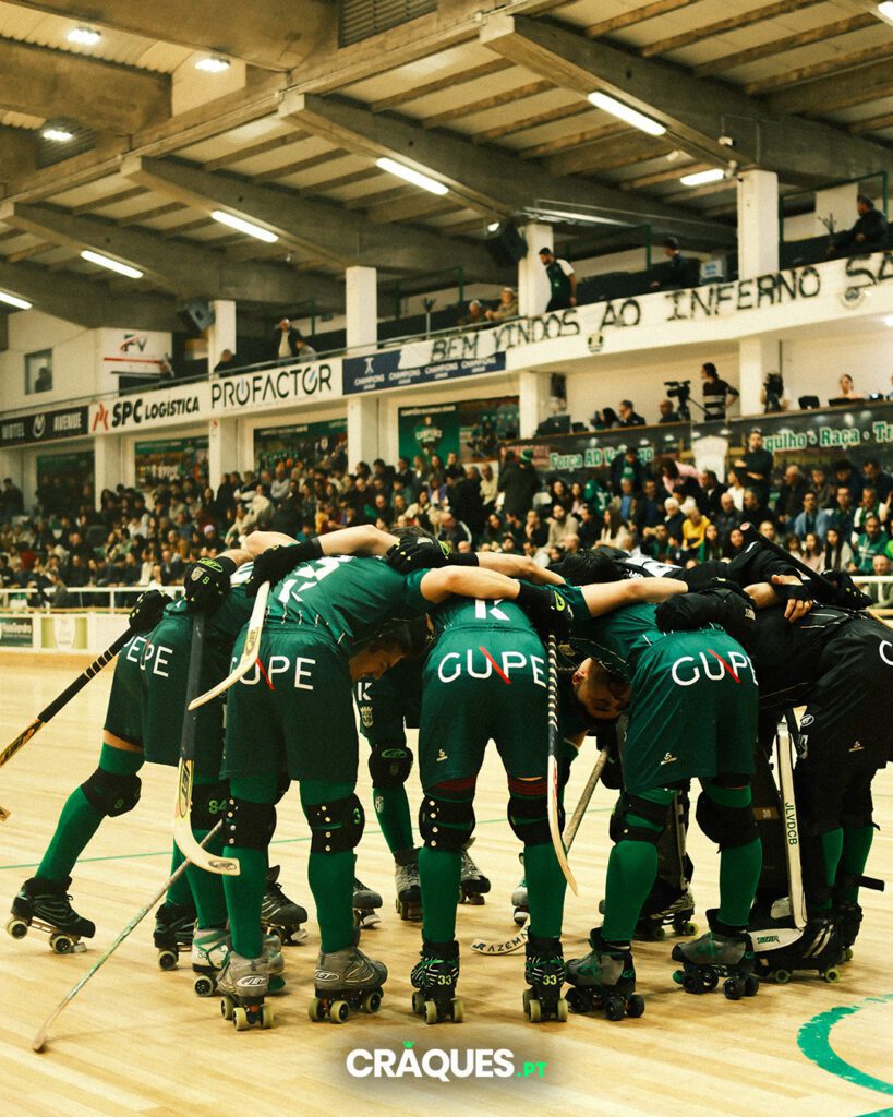 Galeria 12