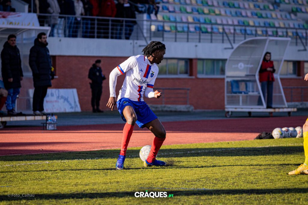 Galeria 36