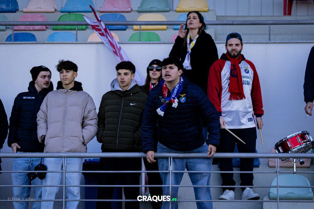Galeria 61