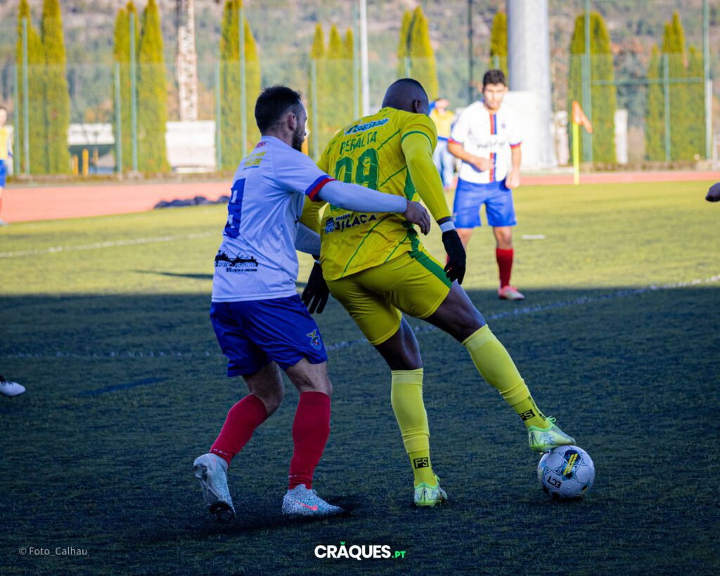 Galeria 214