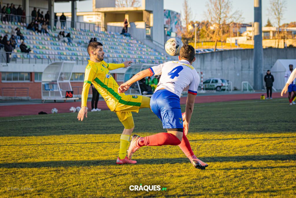 Galeria 236