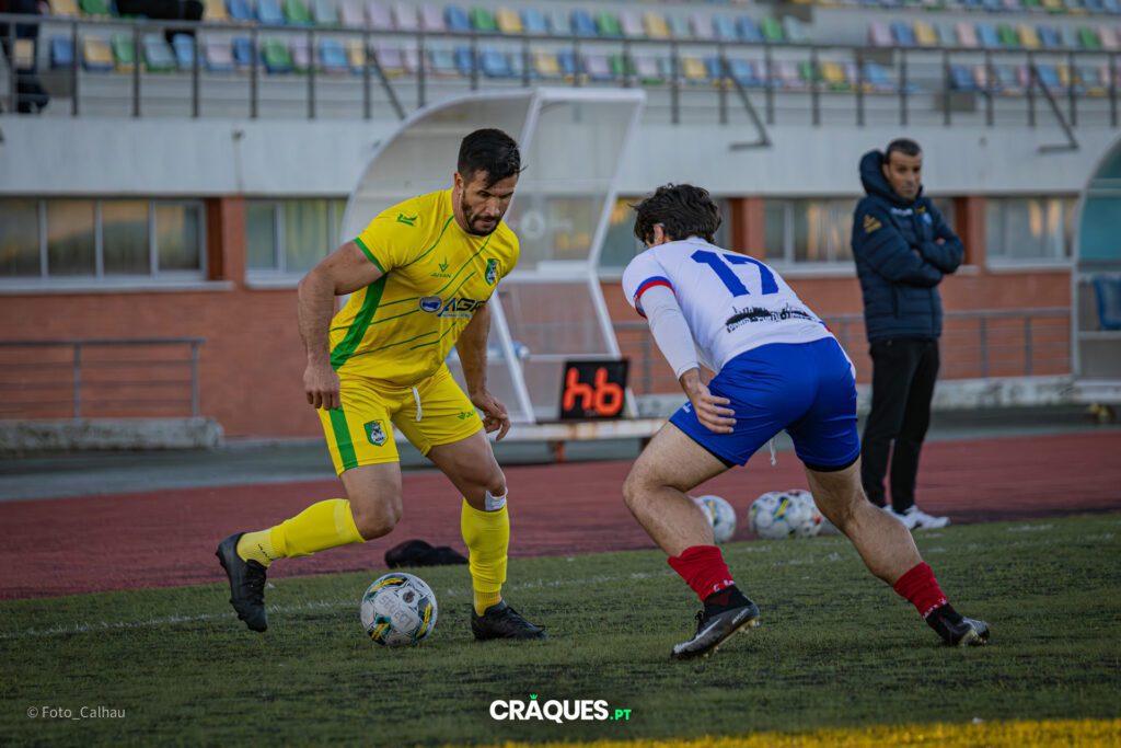 Galeria 238