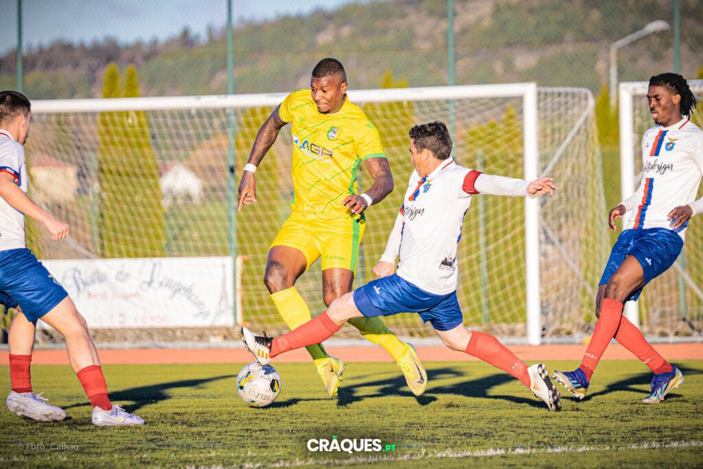 Galeria 239