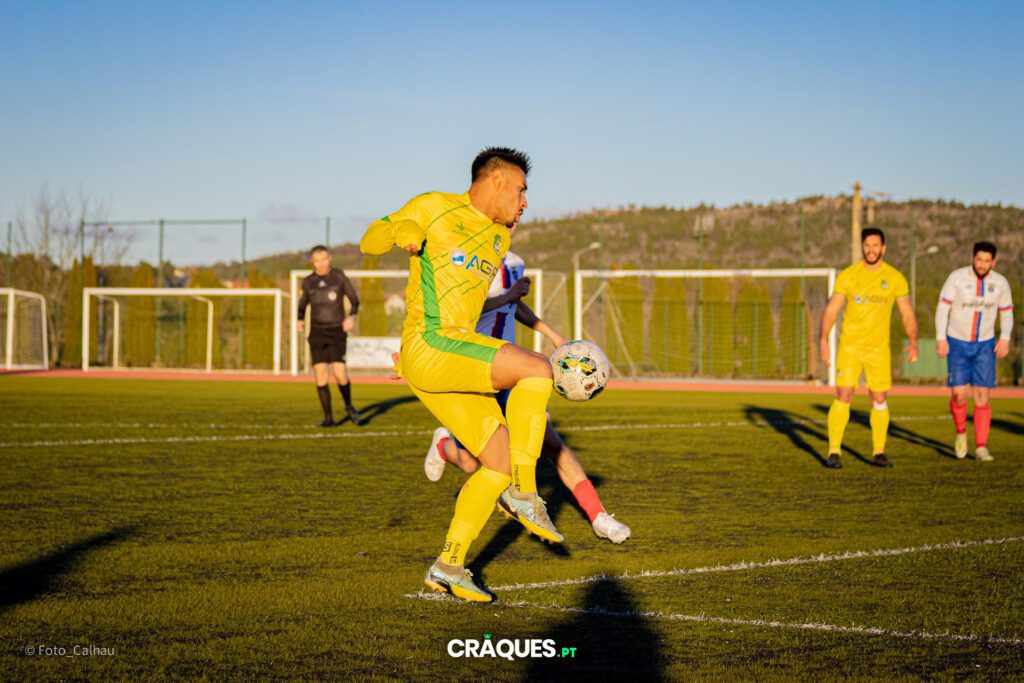 Galeria 242