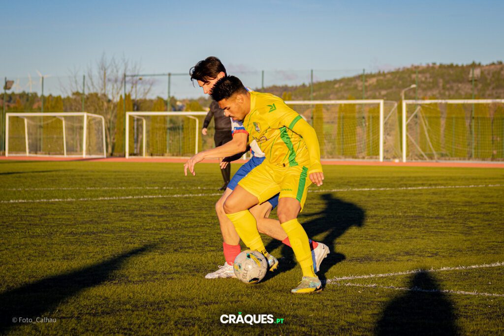 Galeria 243