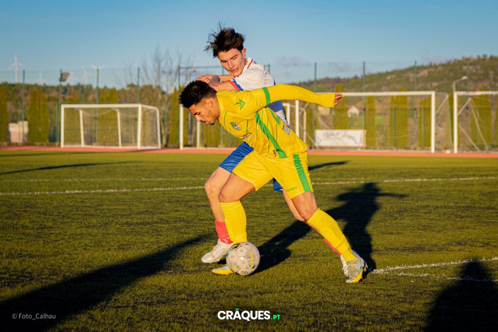 Galeria 244