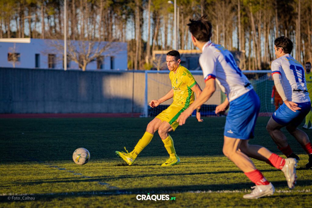 Galeria 246