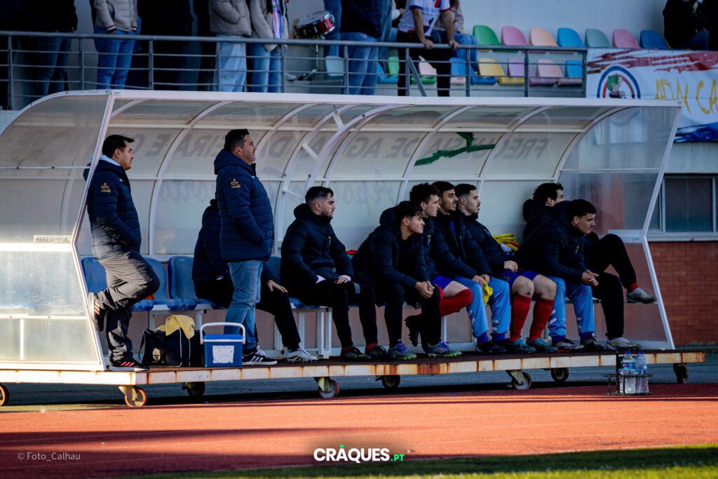 Galeria 13