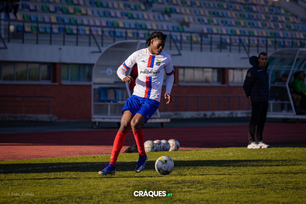 Galeria 26