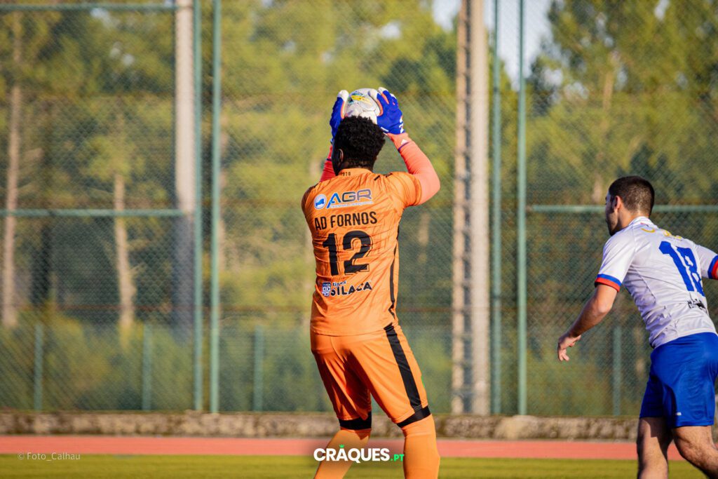Galeria 173