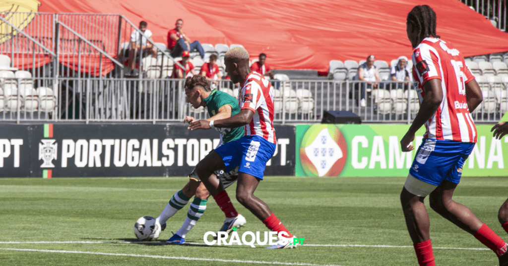 Galeria 38