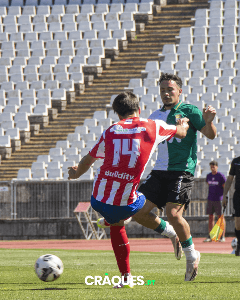 Galeria 13