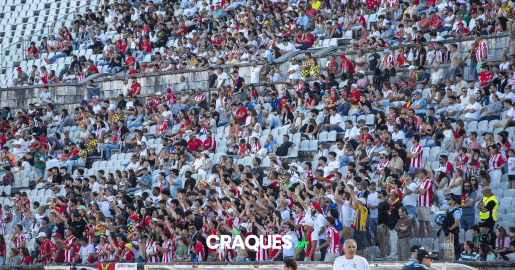 Galeria 55