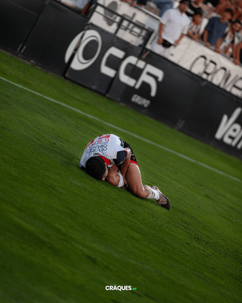 Galeria 20