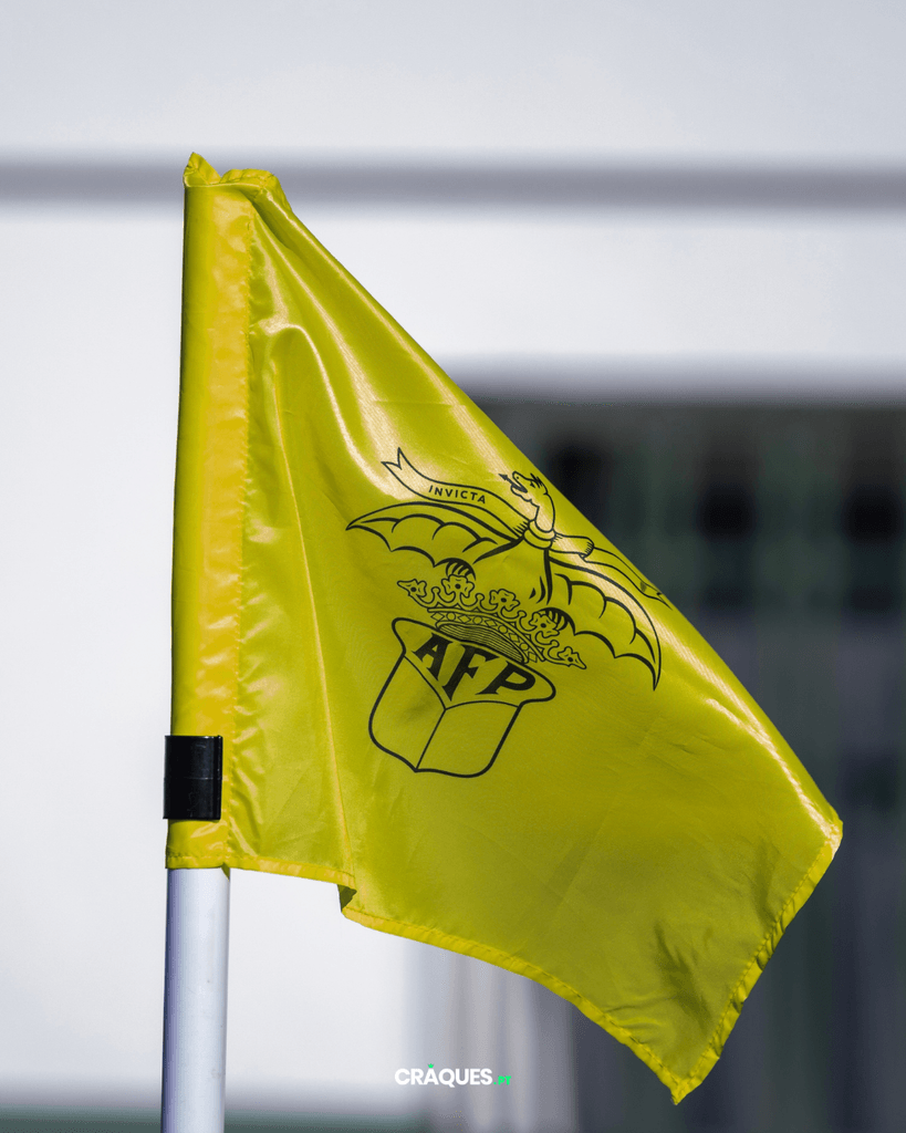 Galeria 13