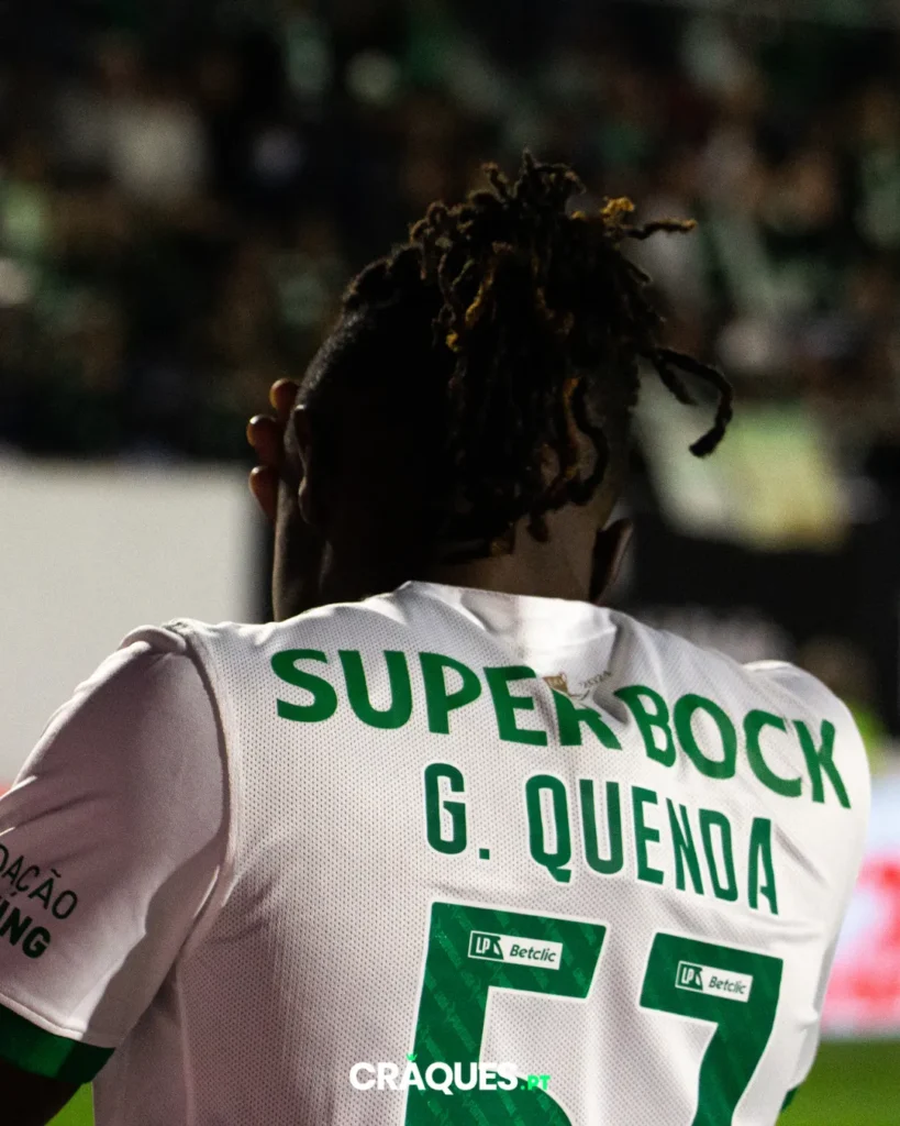 Galeria 12