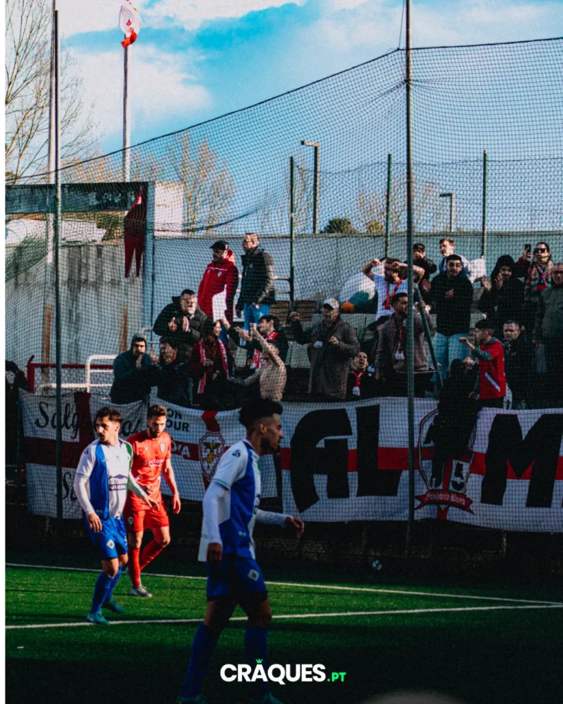 Galeria 15