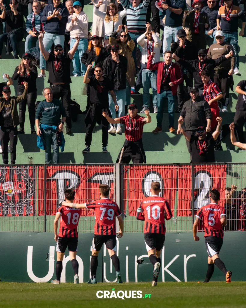 Galeria 43