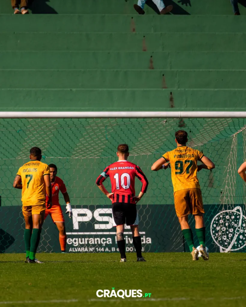 Galeria 62