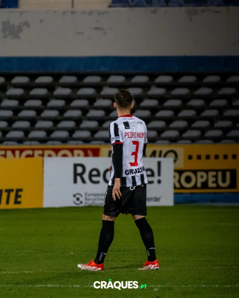 Galeria 11