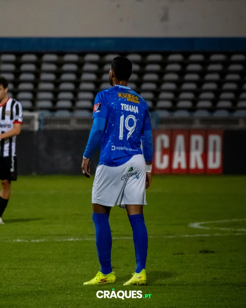 Galeria 15