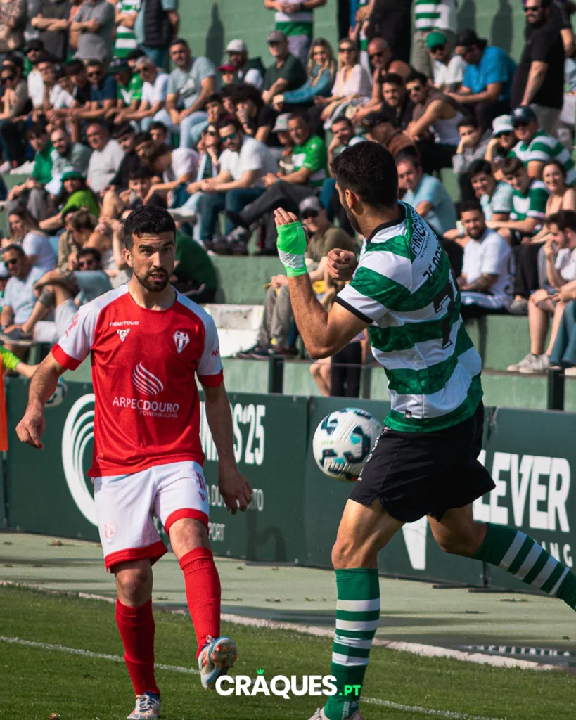 Galeria 19