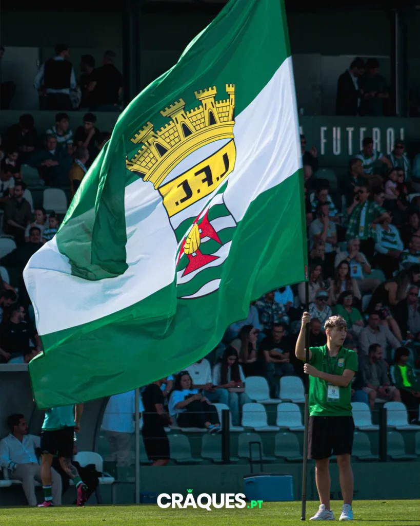 Galeria 43