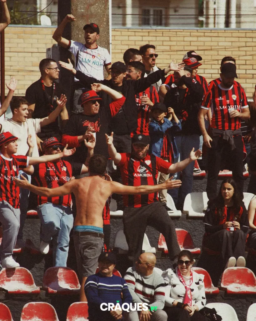 Galeria 23