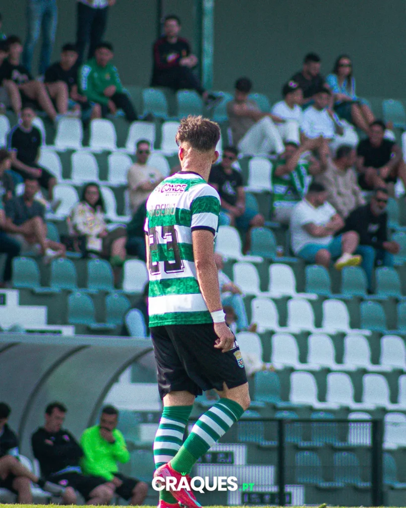 Galeria 12