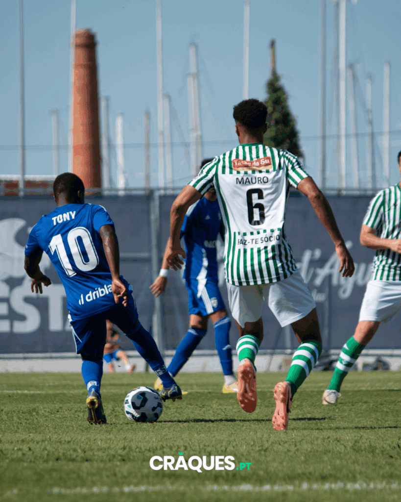 Galeria 11