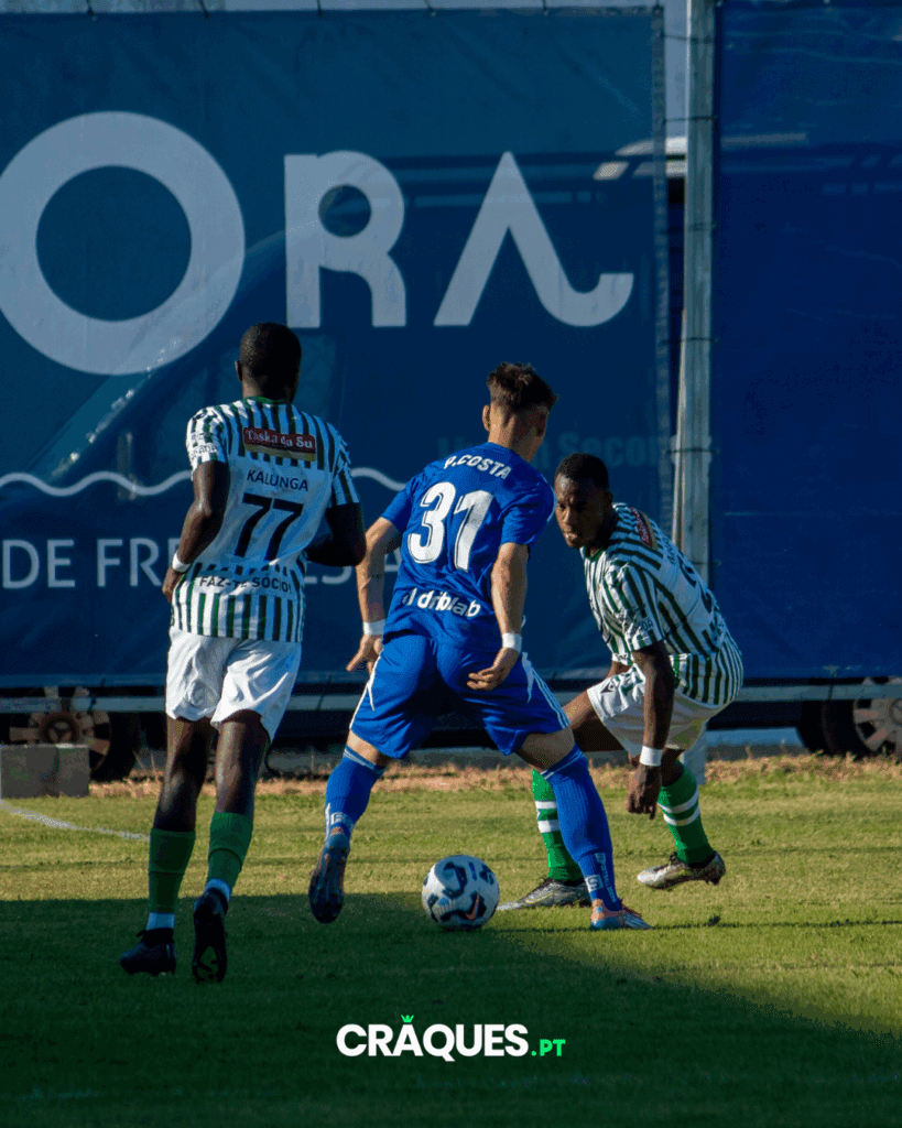 Galeria 20