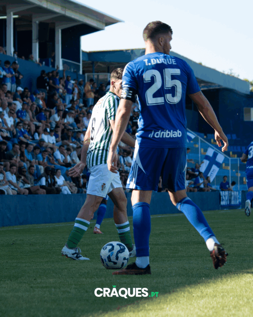 Galeria 23