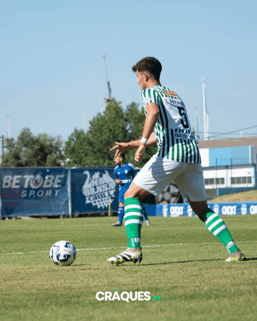 Galeria 41