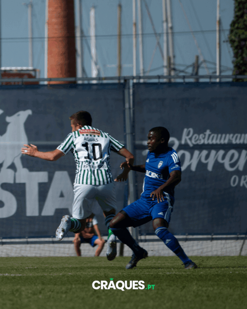 Galeria 9