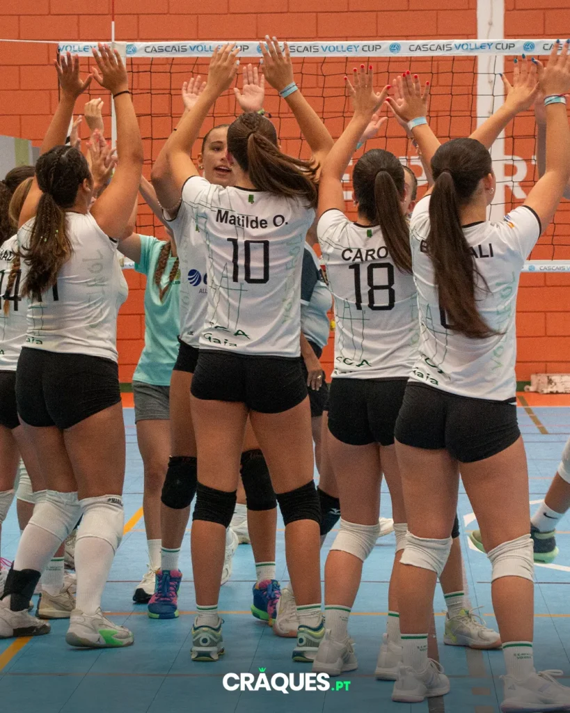 Galeria 23