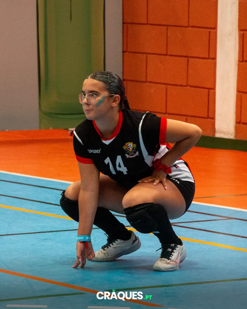 Galeria 29