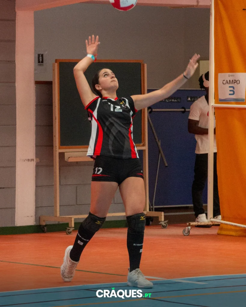 Galeria 12