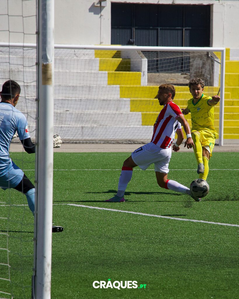 Galeria 26