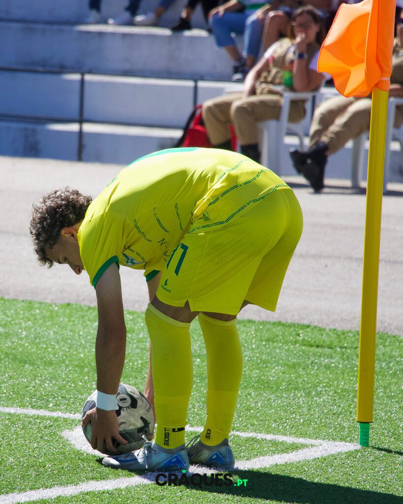 Galeria 14