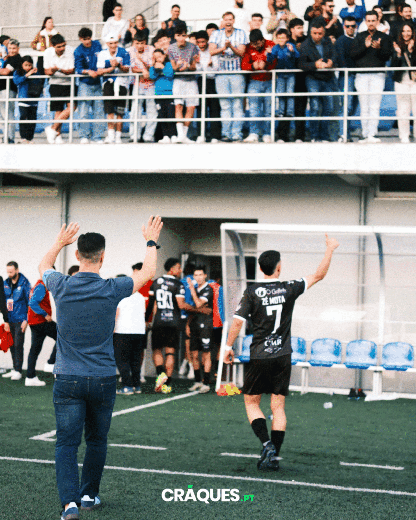 Galeria 14