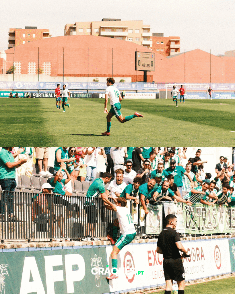 Galeria 15