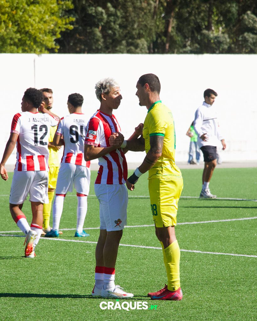 Galeria 15