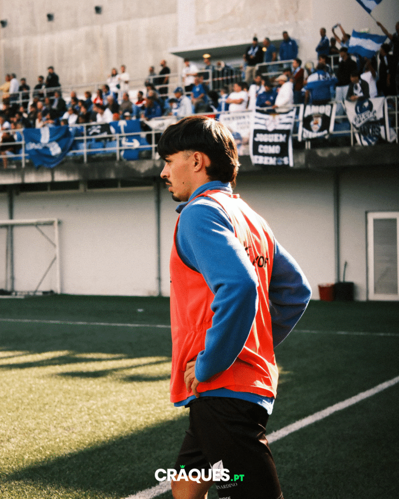 Galeria 15