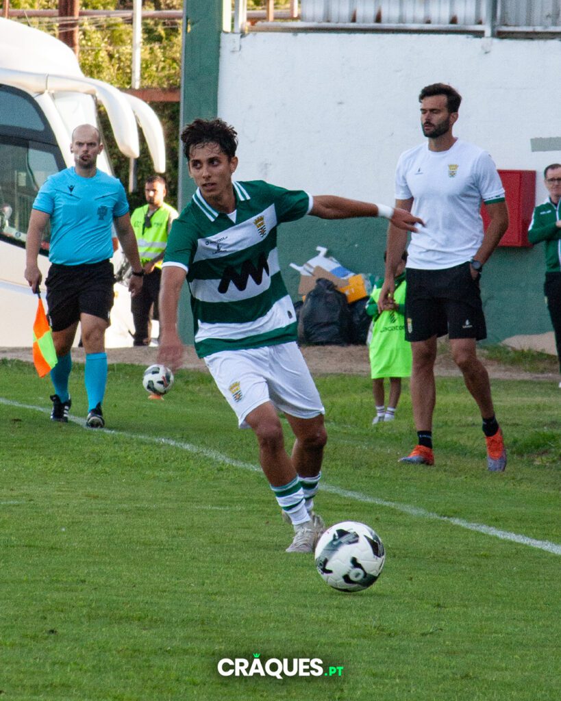 Galeria 14