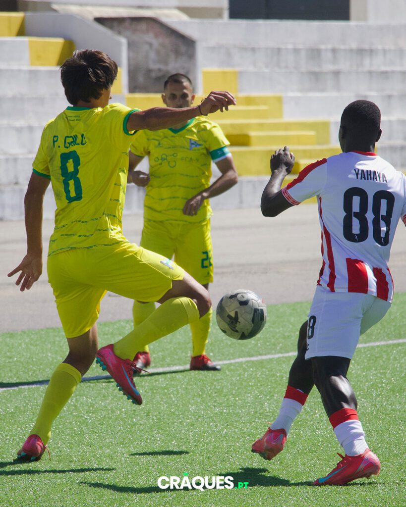 Galeria 19