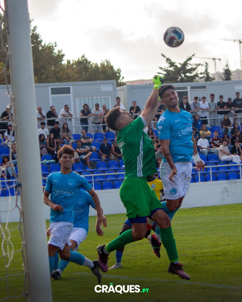 Galeria 15