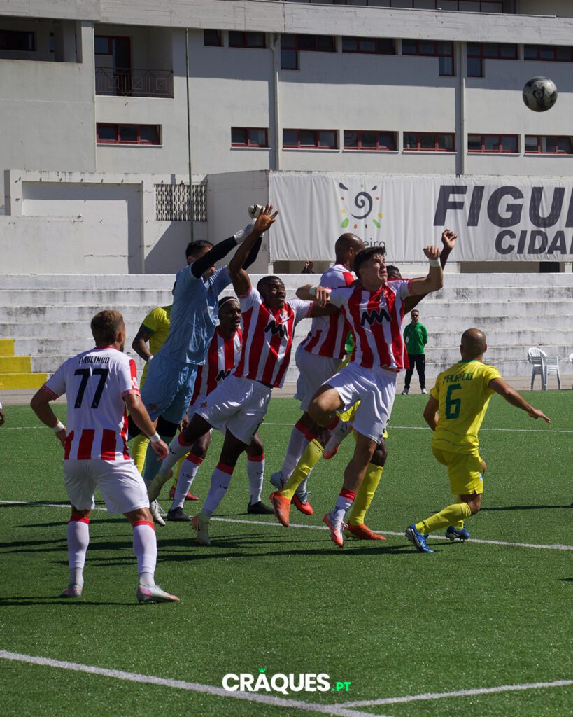Galeria 8